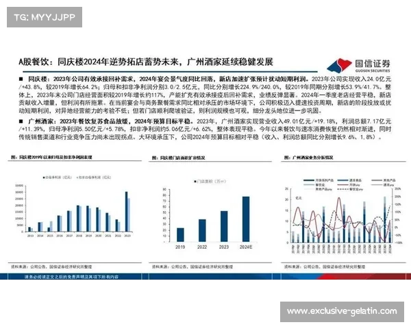 旅游消费龙头项目成功的五大关键因素分析与策略探索